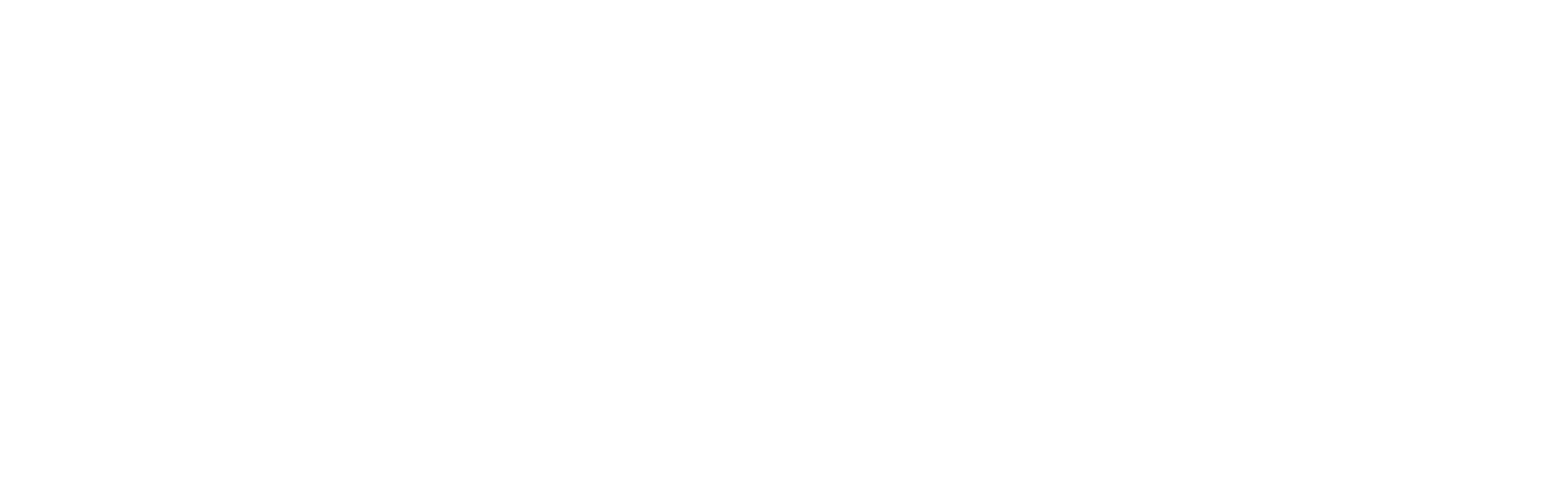 BrightForge - Logo